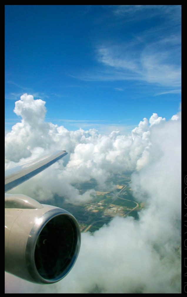 Fly